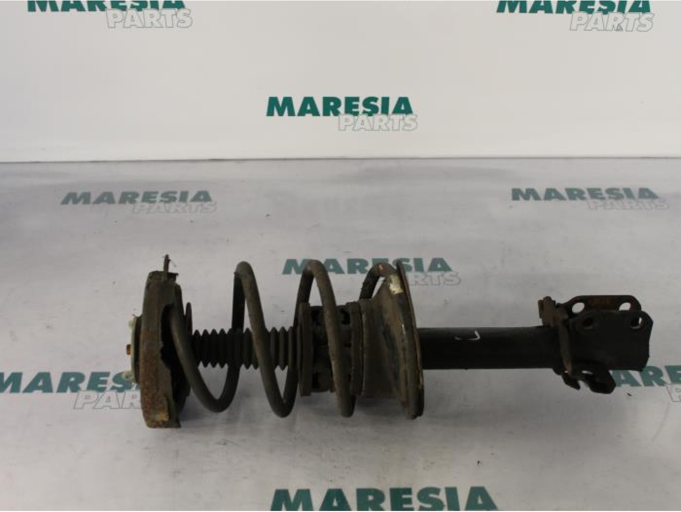 Renault - Megane Scenic - Front shock absorber rod, left