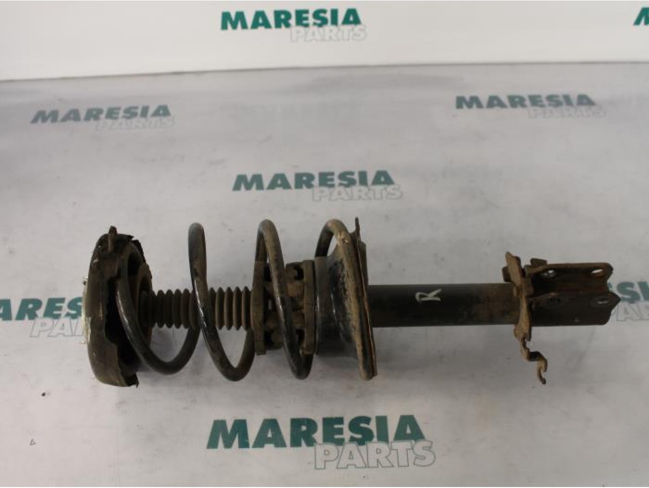 Renault - Megane Scenic - Front shock absorber rod, right