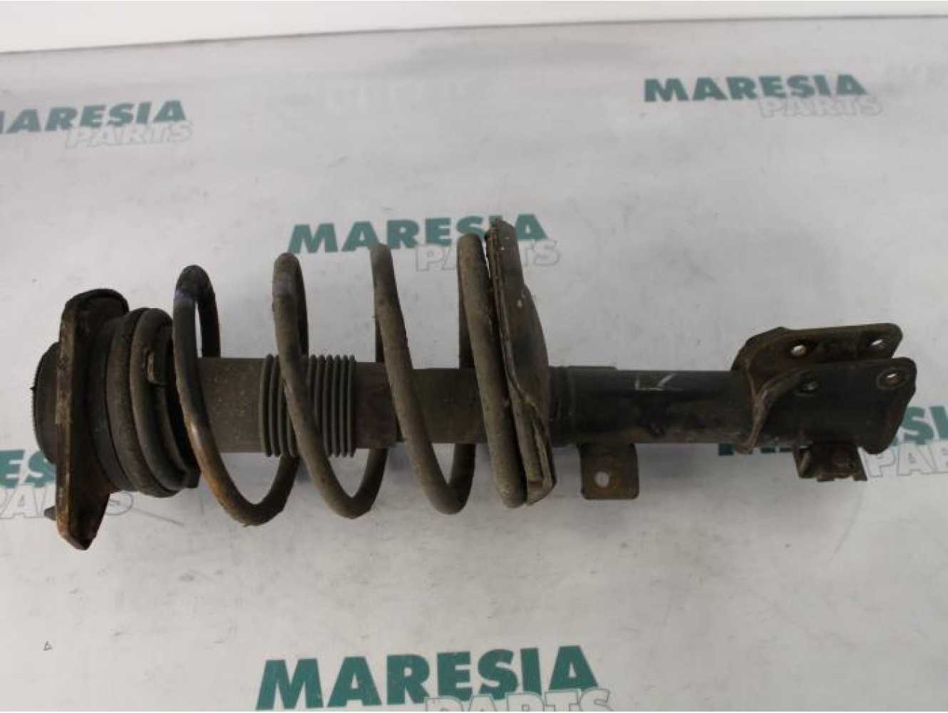 Fiat - Multipla - Front shock absorber rod, right