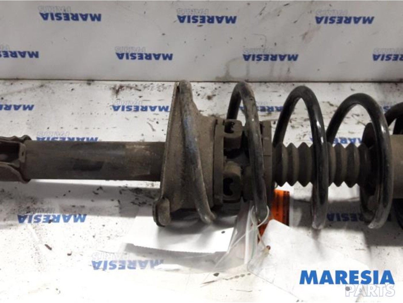 Renault - Megane Scenic - Front shock absorber rod, right