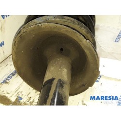 Renault - Megane Scenic - Front shock absorber rod, right