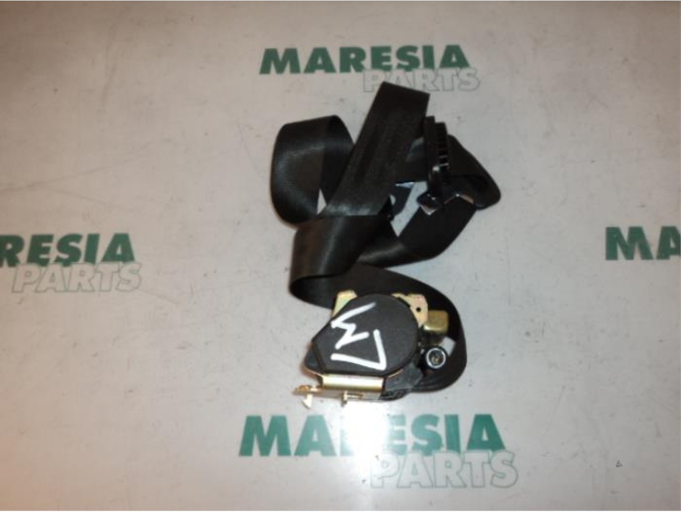 Citroen - C8 - Sicherheitsgurt links hinten