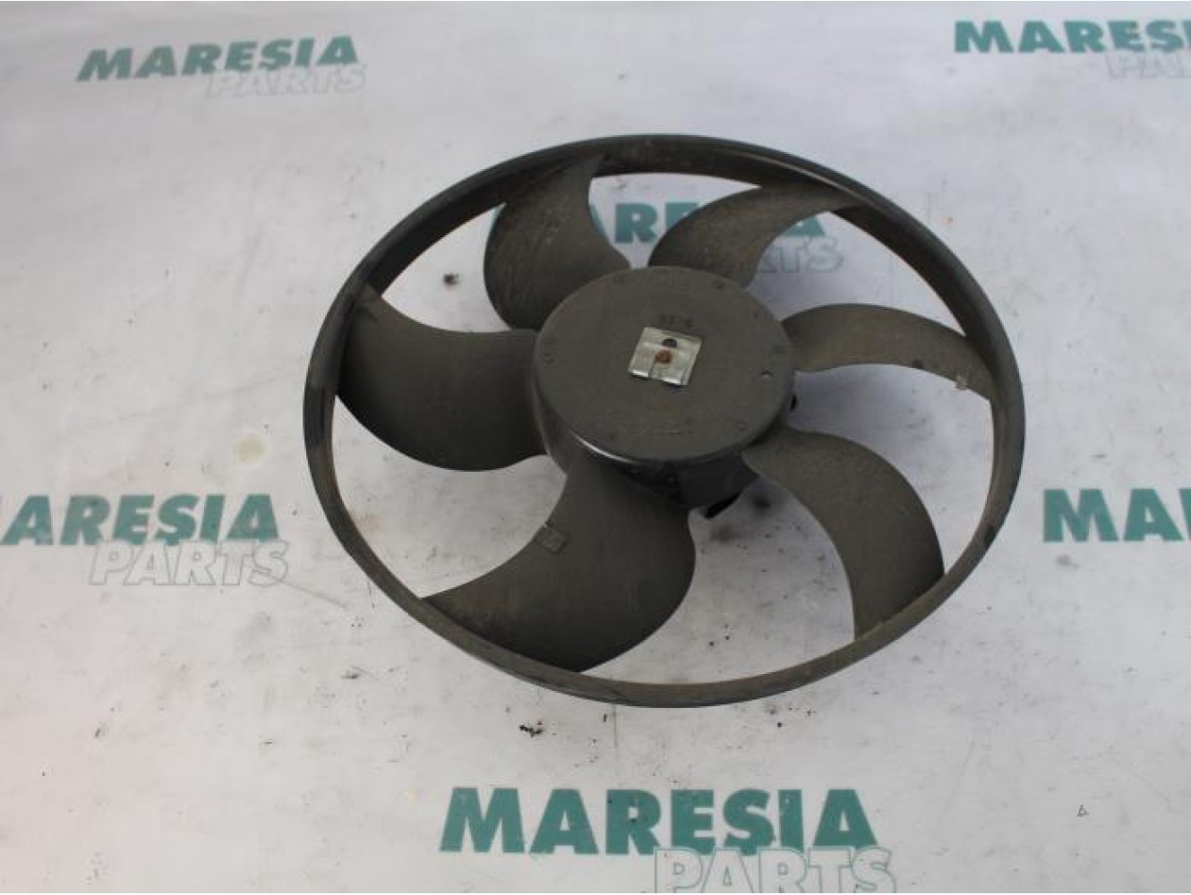 Renault - Megane Scenic - Kühlgebläse Motor