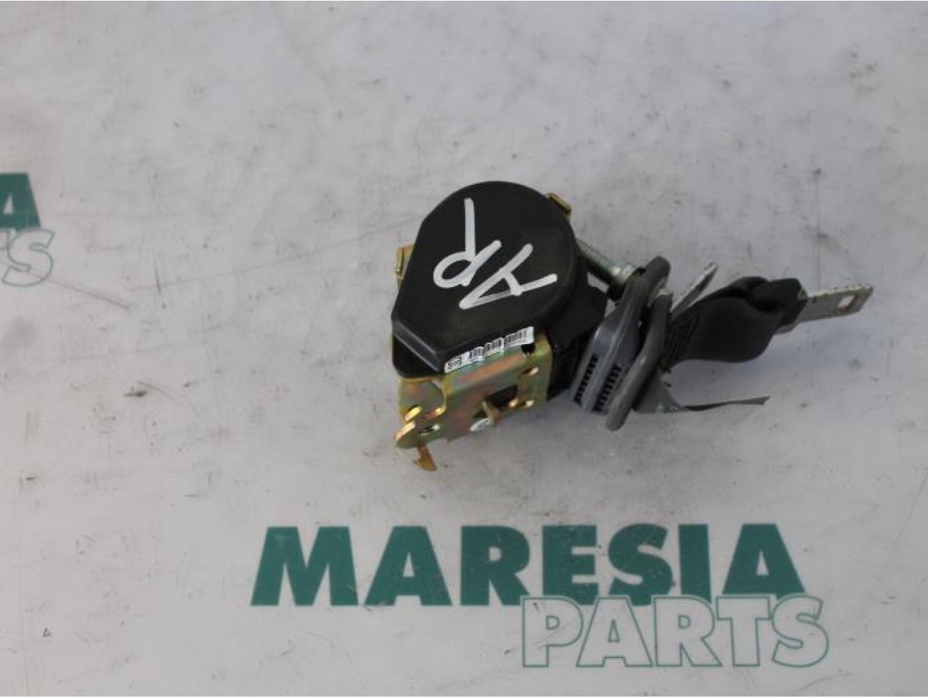 Renault - Megane Scenic - Rear seatbelt, right