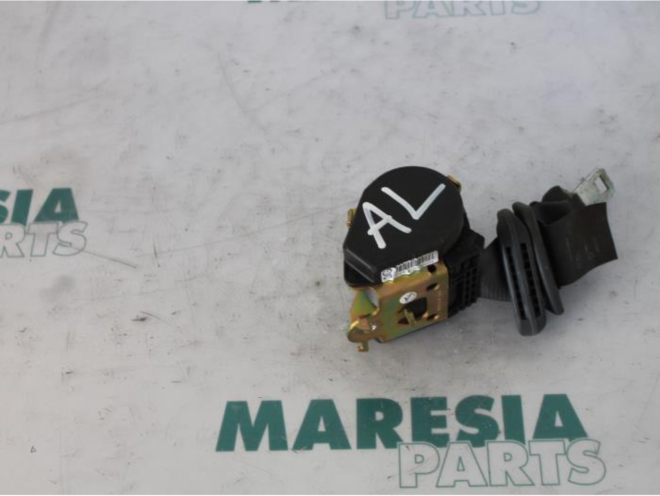 Renault - Megane Scenic - Sicherheitsgurt links hinten