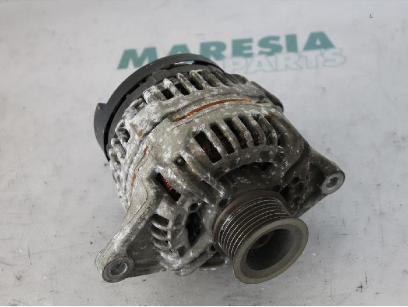 Fiat - Ducato - Dynamo