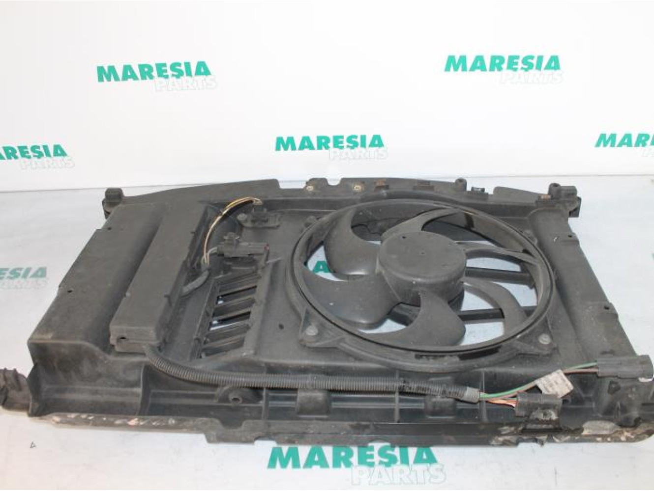 Peugeot - 307 - Fan motor