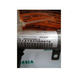 Peugeot - 307 - Airbag Himmel links