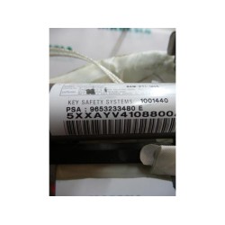 Peugeot - 307 - Airbag plafond droite