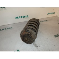 Citroen - Xsara - Front shock absorber rod, right