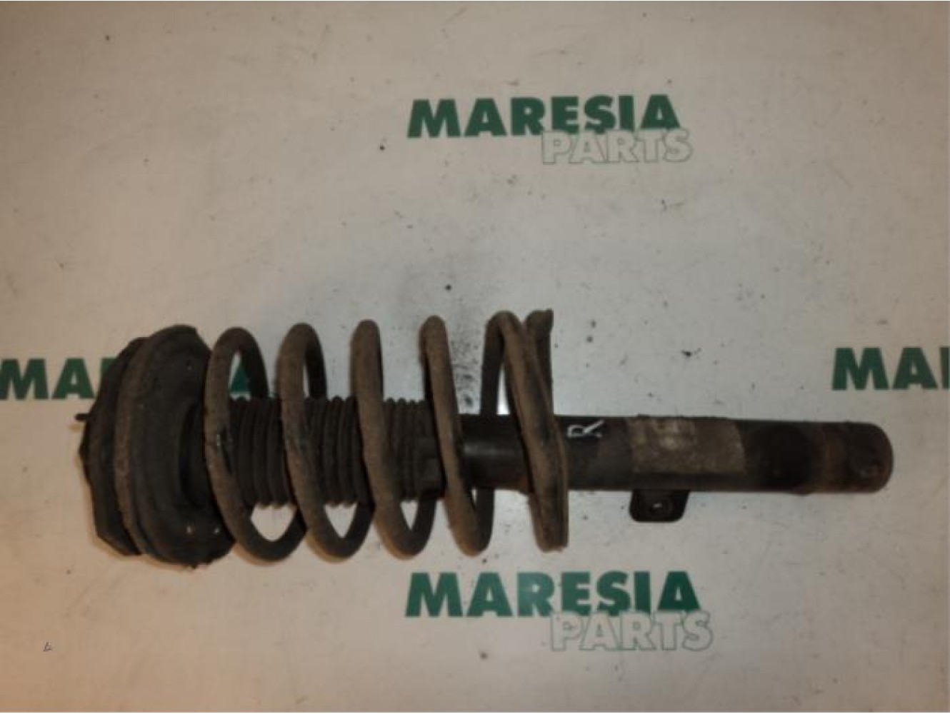 Citroen - Xsara - Front shock absorber rod, right