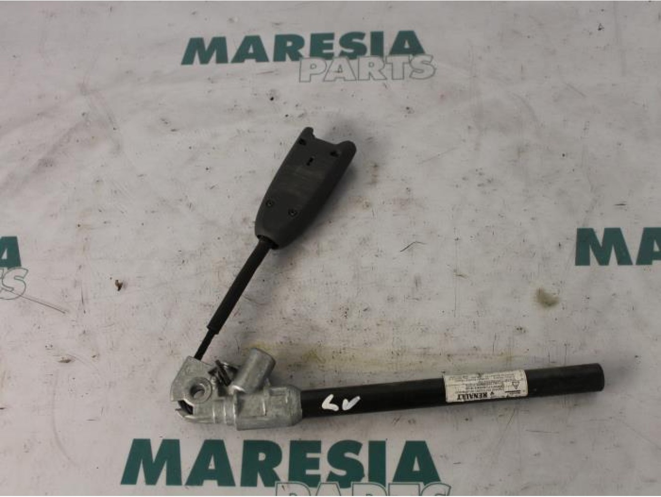 Renault - Megane Scenic - Gurtsrammer links