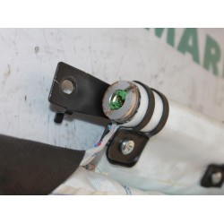 Renault - Megane - Airbag hemel links