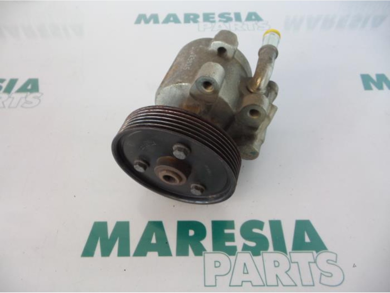 Renault - Megane Scenic - Power steering pump