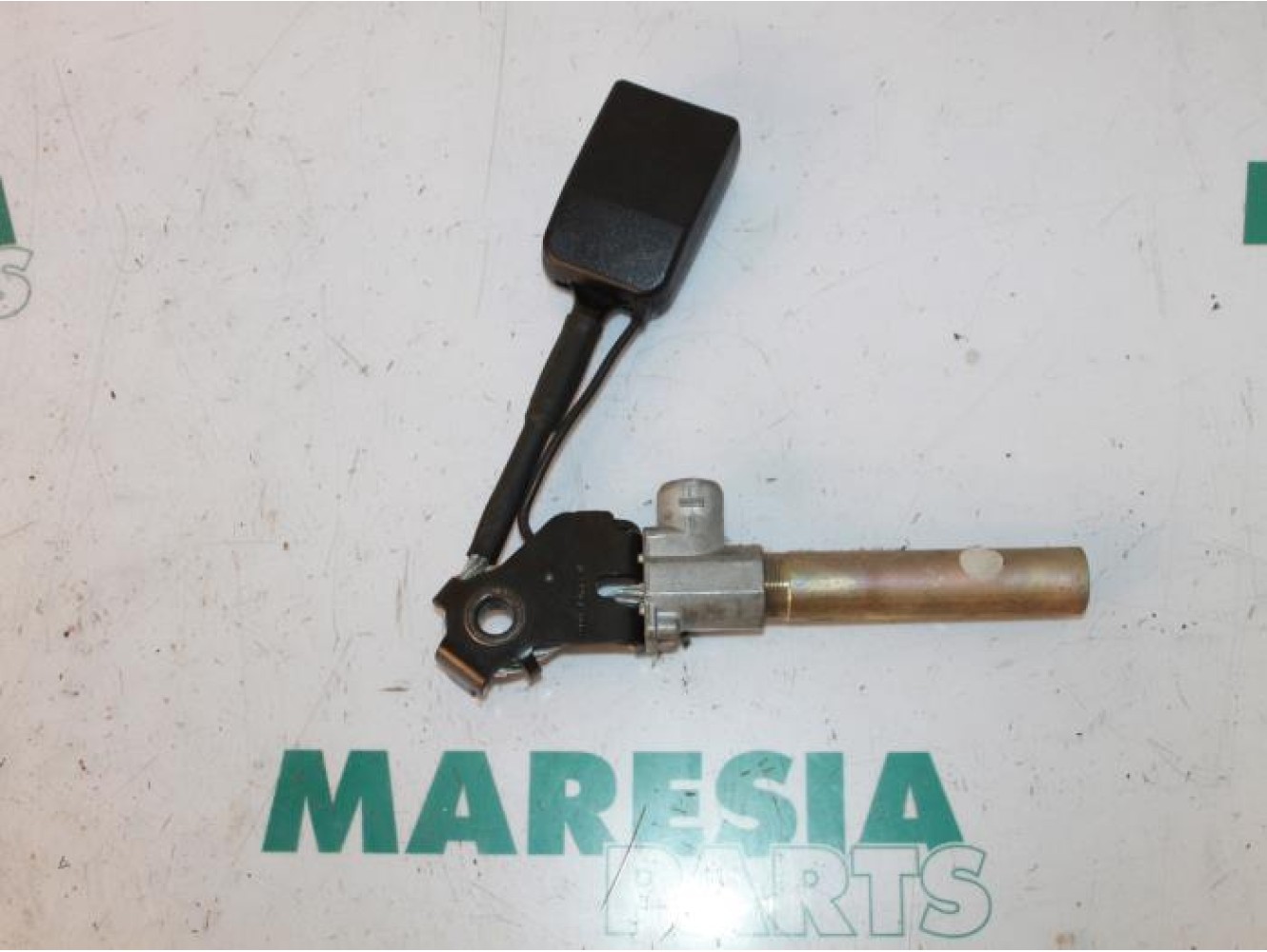 Renault - Megane Scenic - Gurtsrammer links
