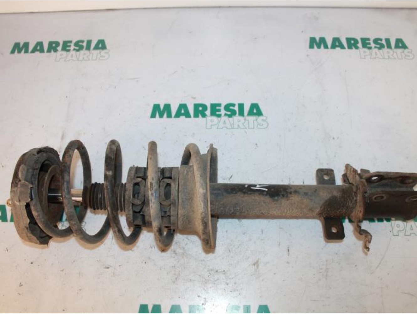 Renault - Megane Scenic - Front shock absorber rod, right