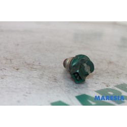 Renault - Megane Scenic - Injector (petrol injection)