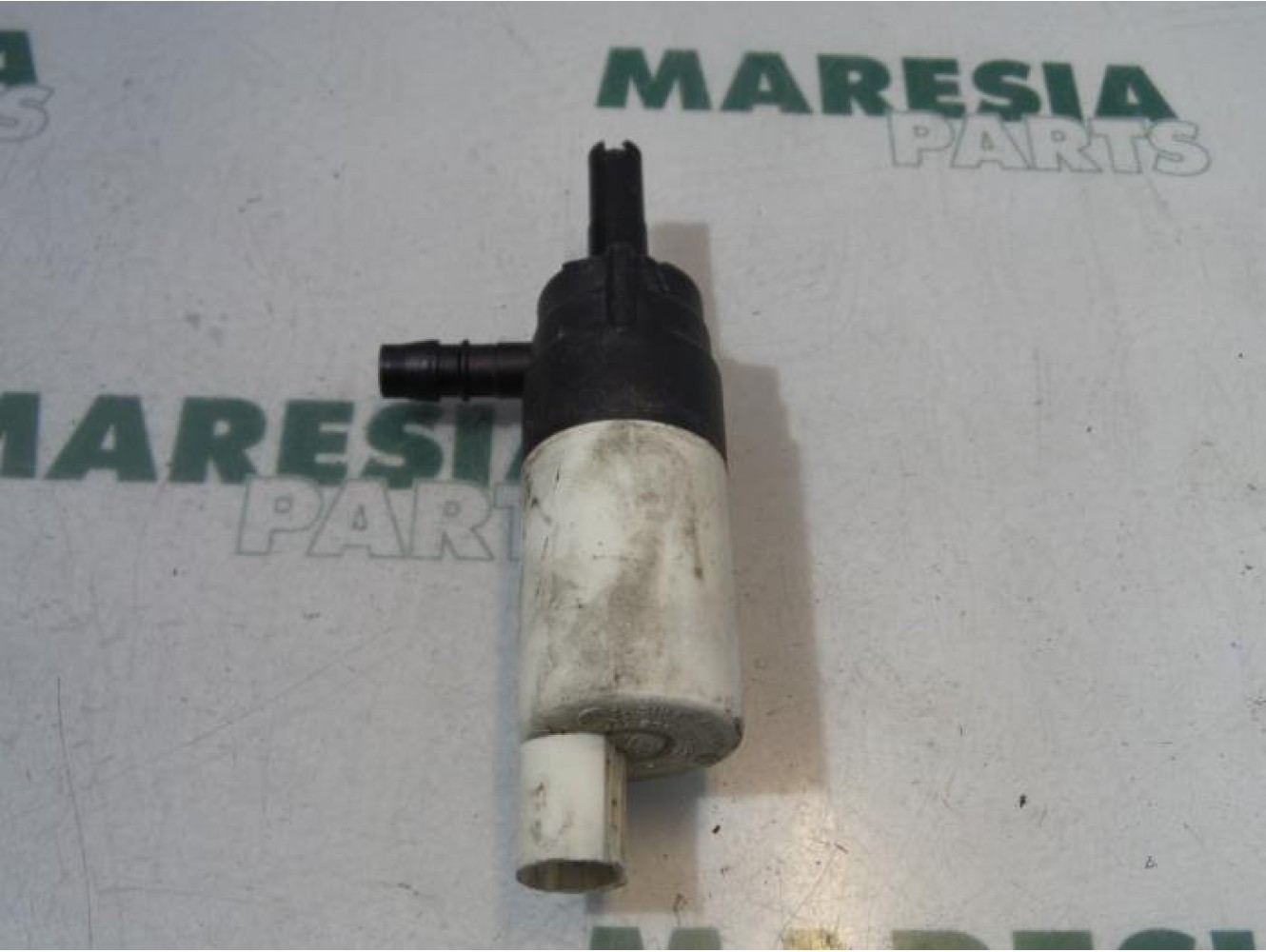 Renault - Laguna - Scheibensprüherpumpe vorne