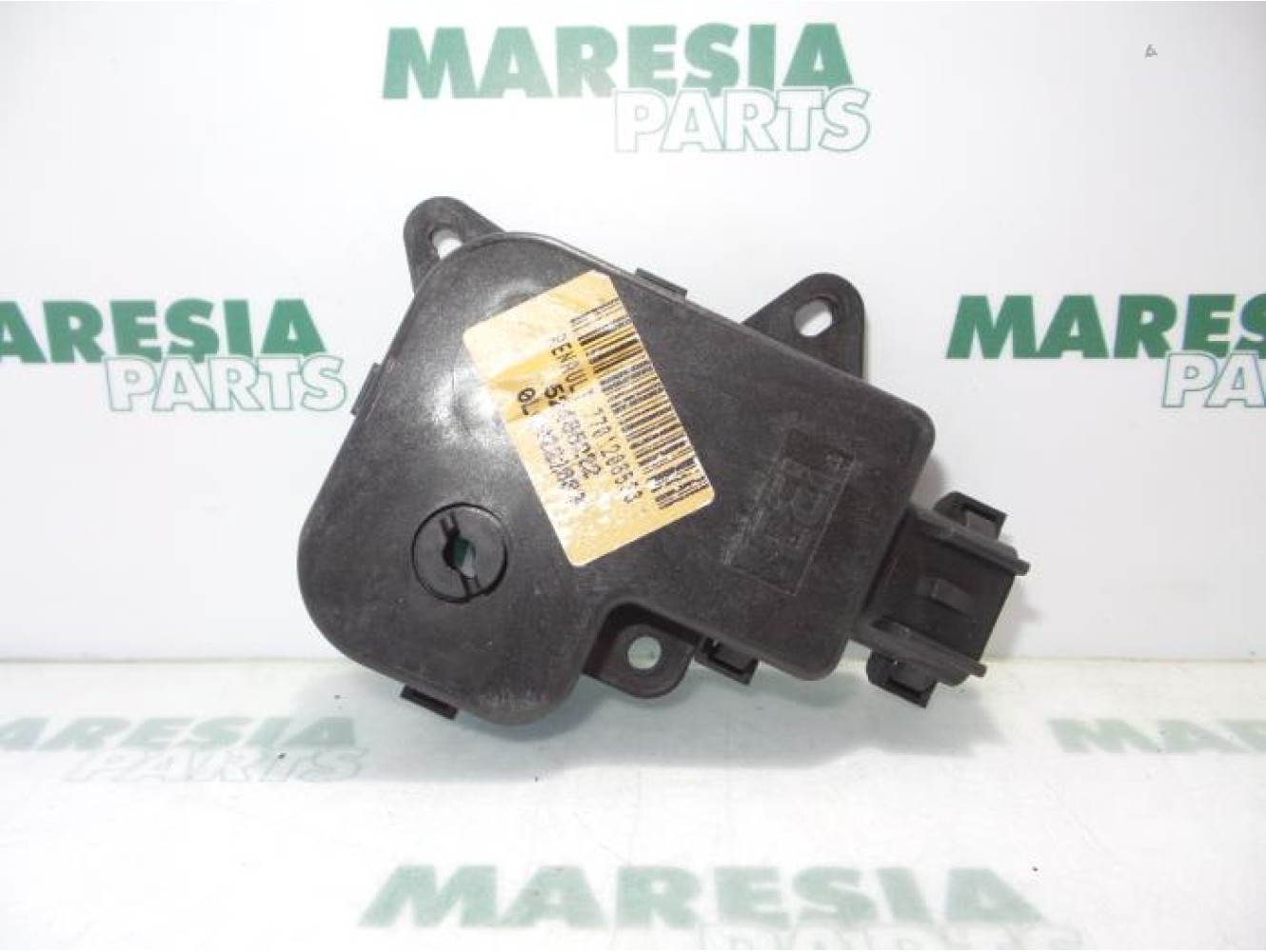Renault - Laguna - Kachelklep Motor