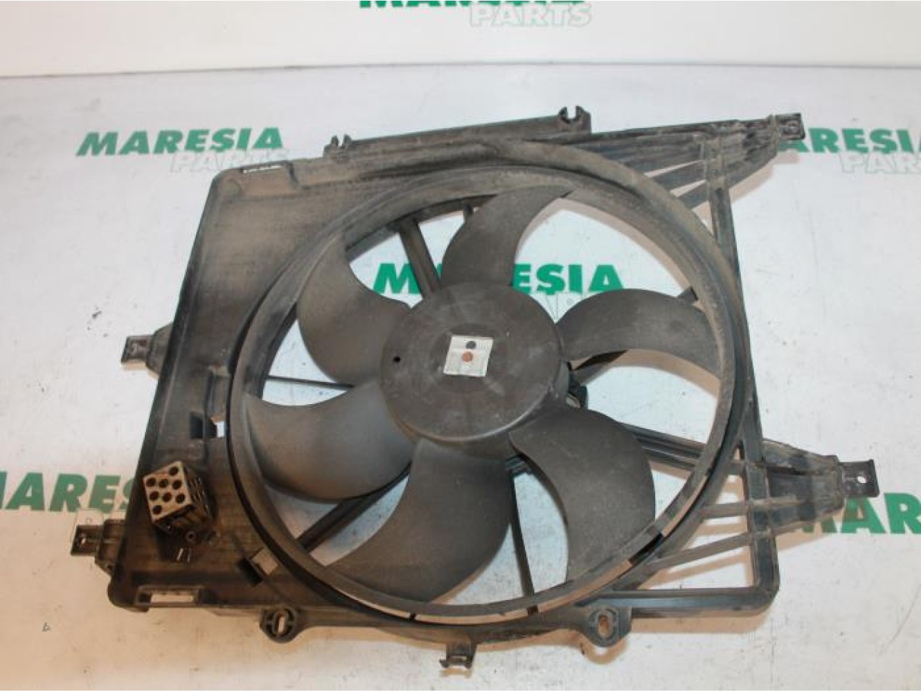 Renault - Clio - Koelvin Motor
