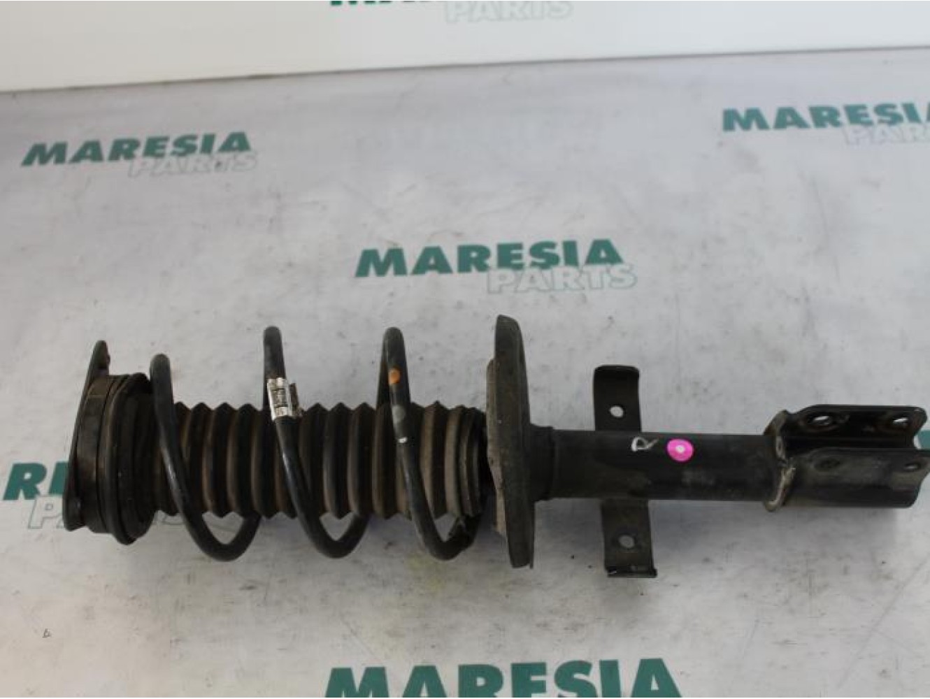 Renault - Clio - Front shock absorber rod, right