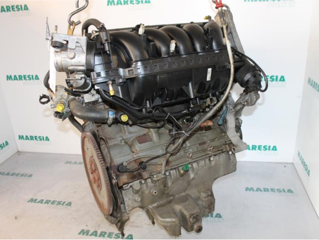 Lancia - Thesis - Engine