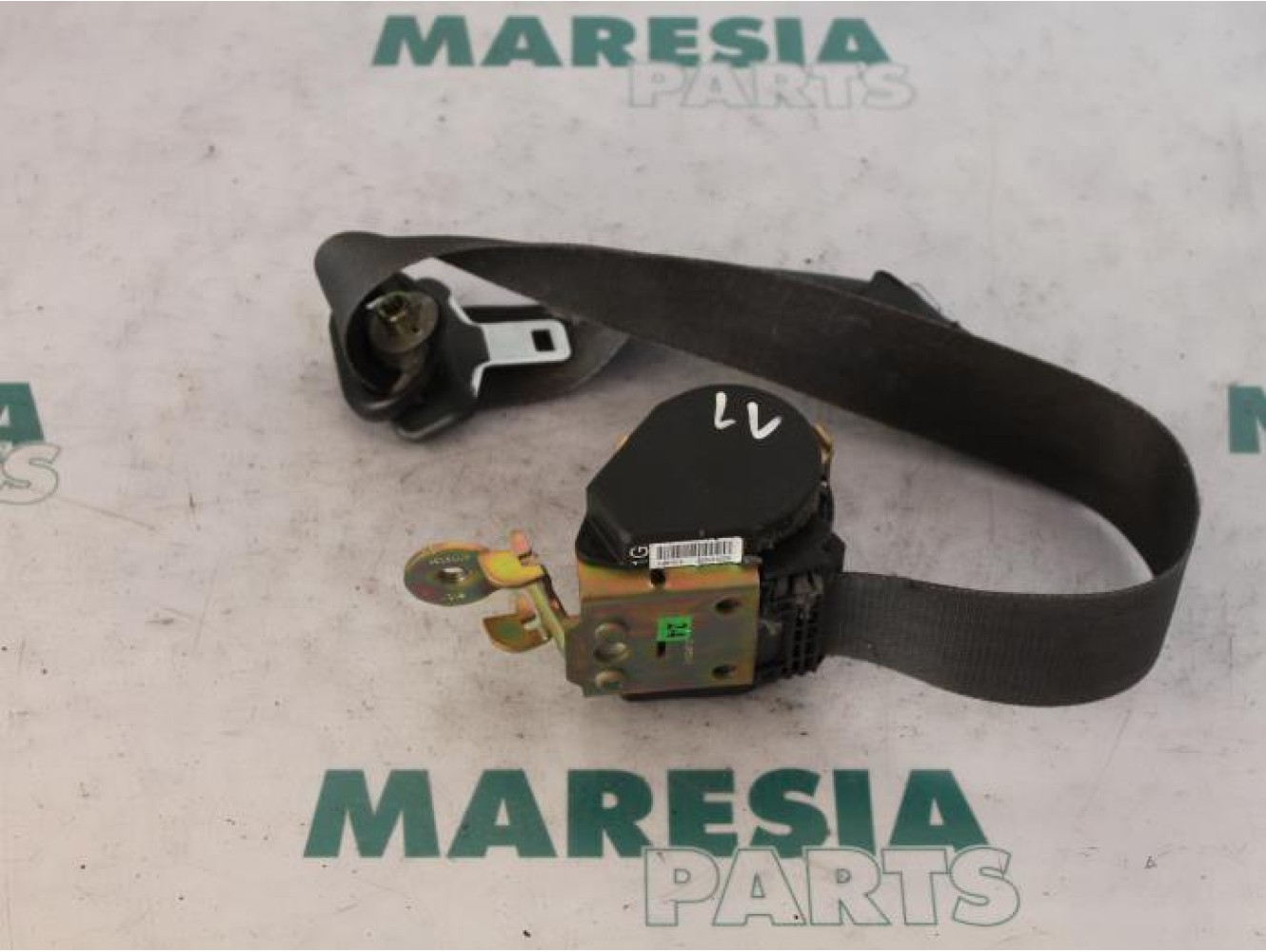 Renault - Megane Scenic - Front seatbelt, left