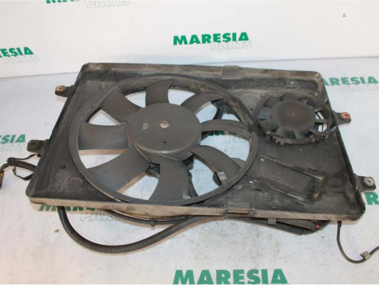 Lancia - Thesis - Fan motor