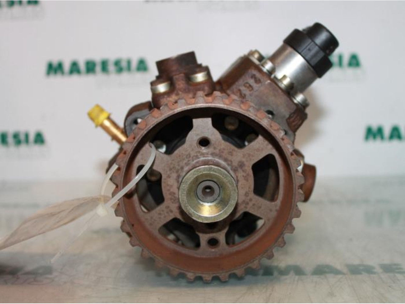 Citroen - Berlingo - Kraftstoffpumpe Mechanisch