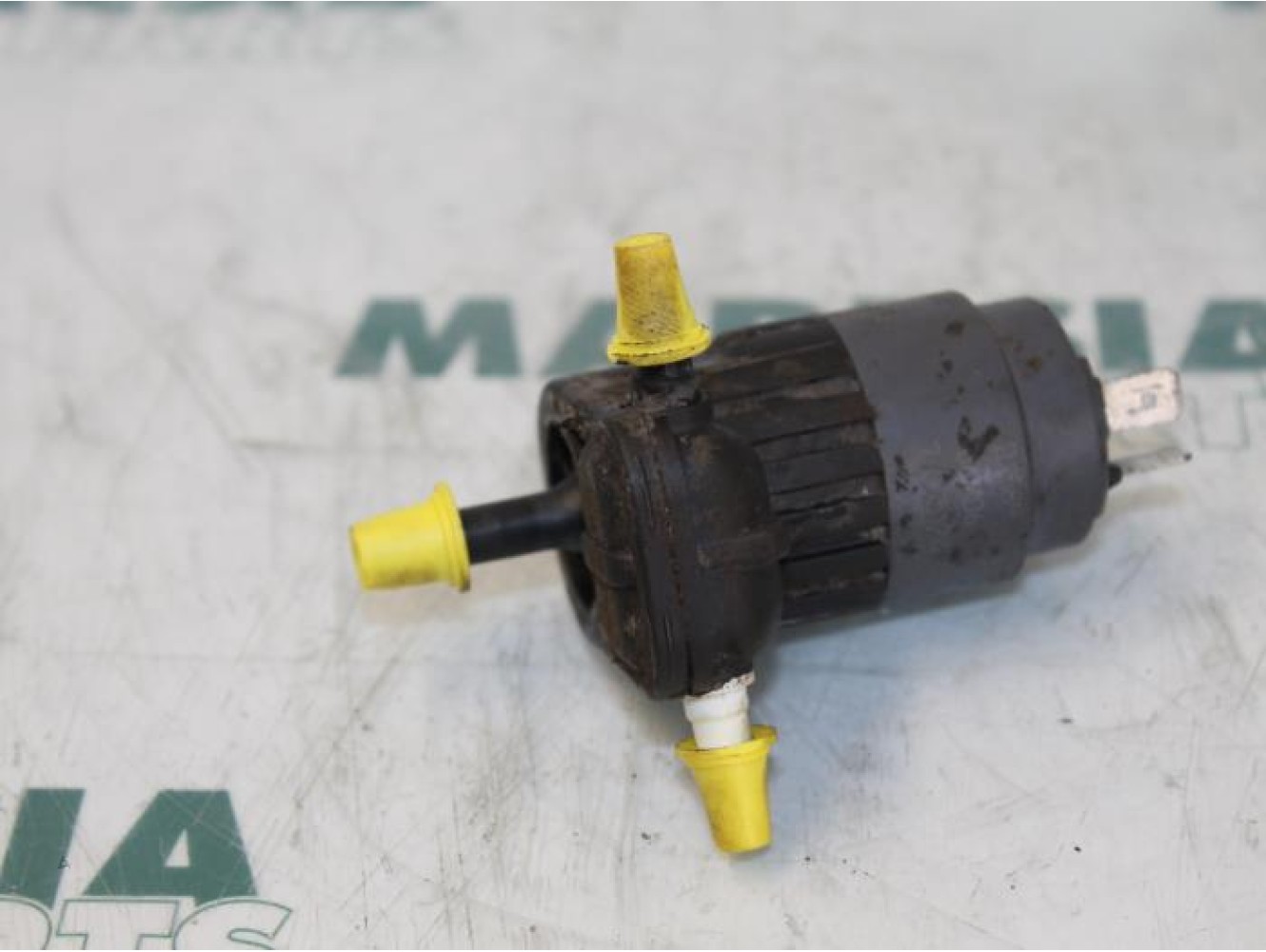 Fiat - Panda - Scheibensprüherpumpe vorne