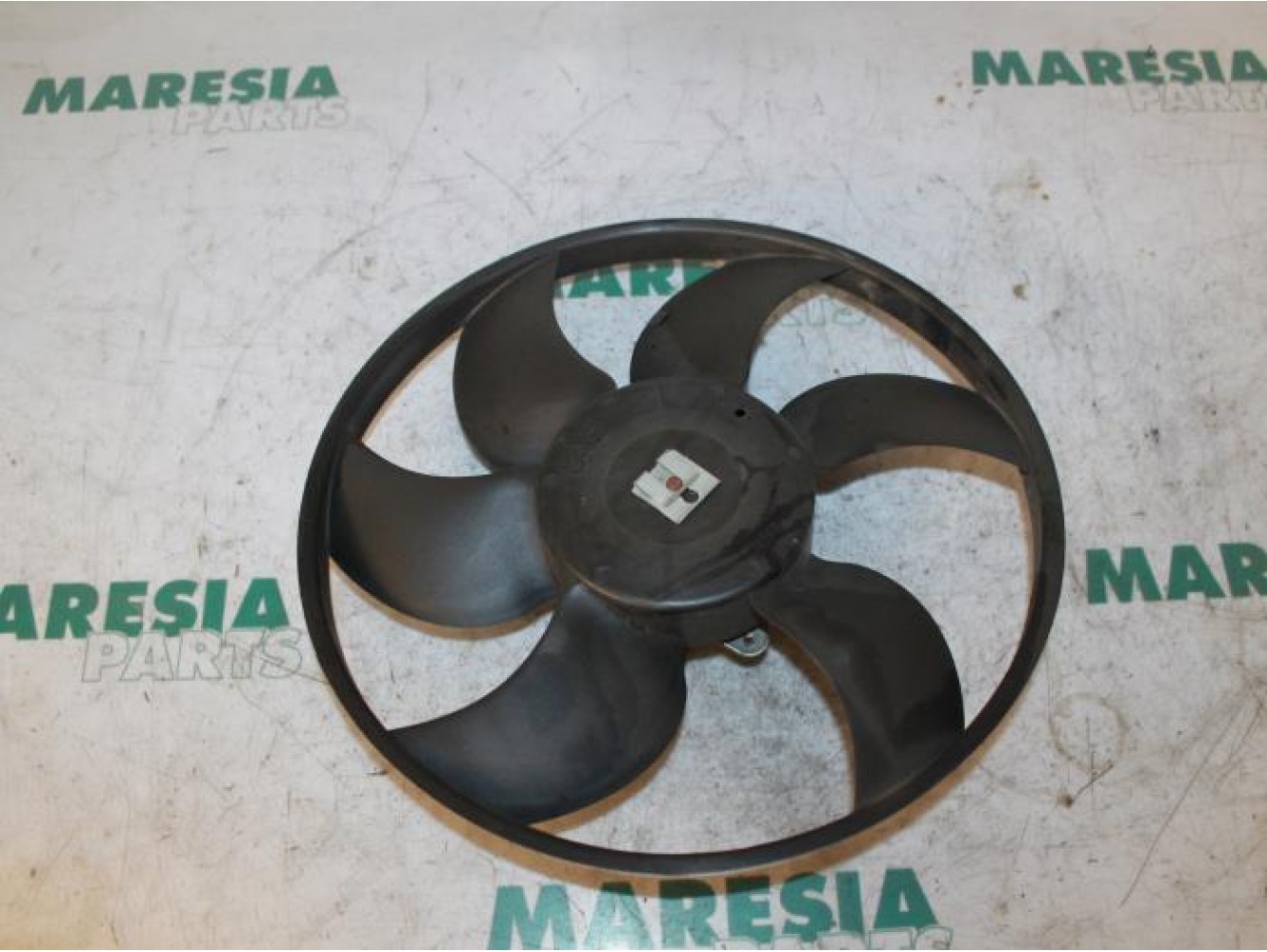 Renault - Megane Scenic - Kühlgebläse Motor