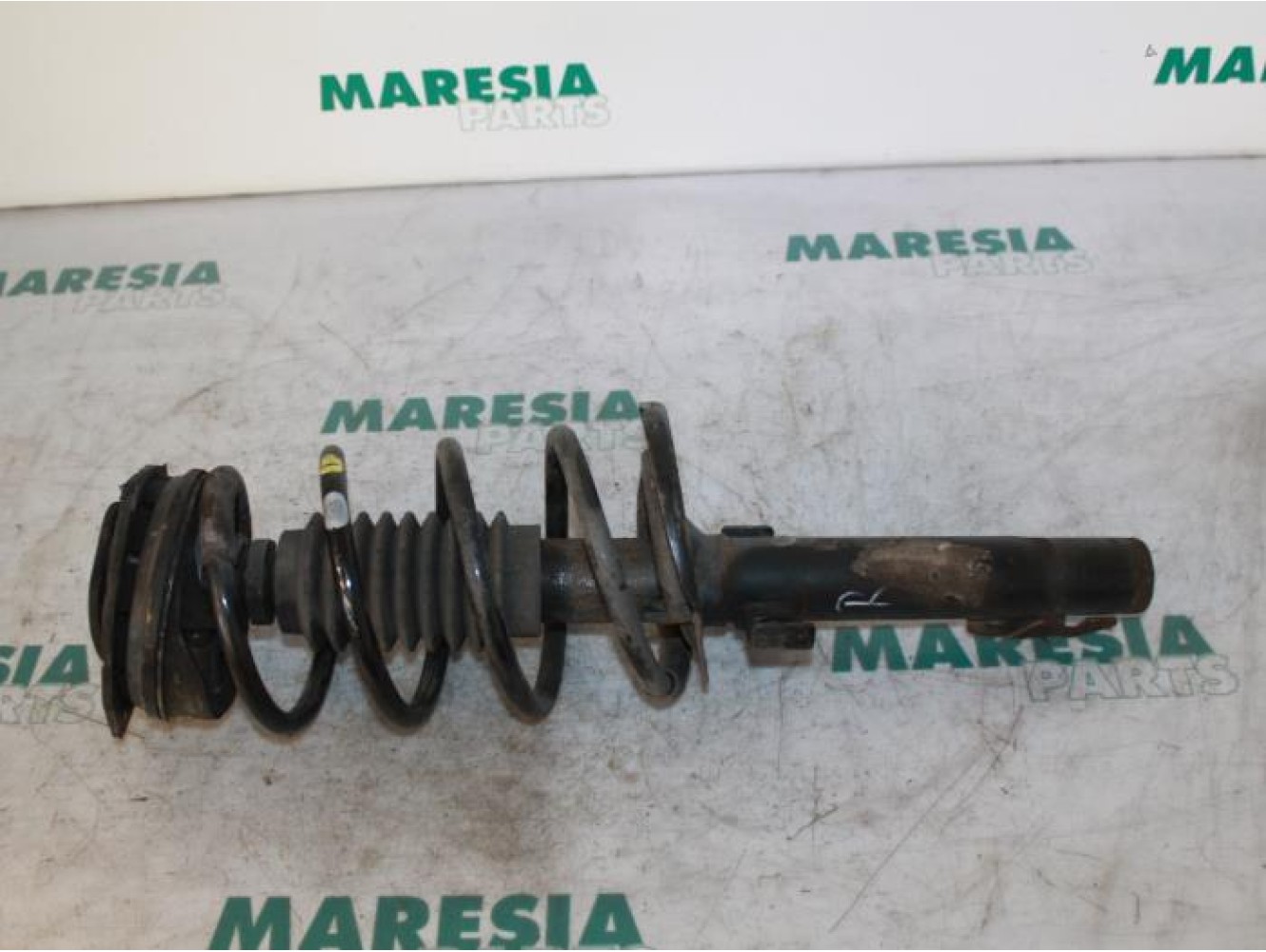 Renault - Megane Scenic - Front shock absorber rod, right