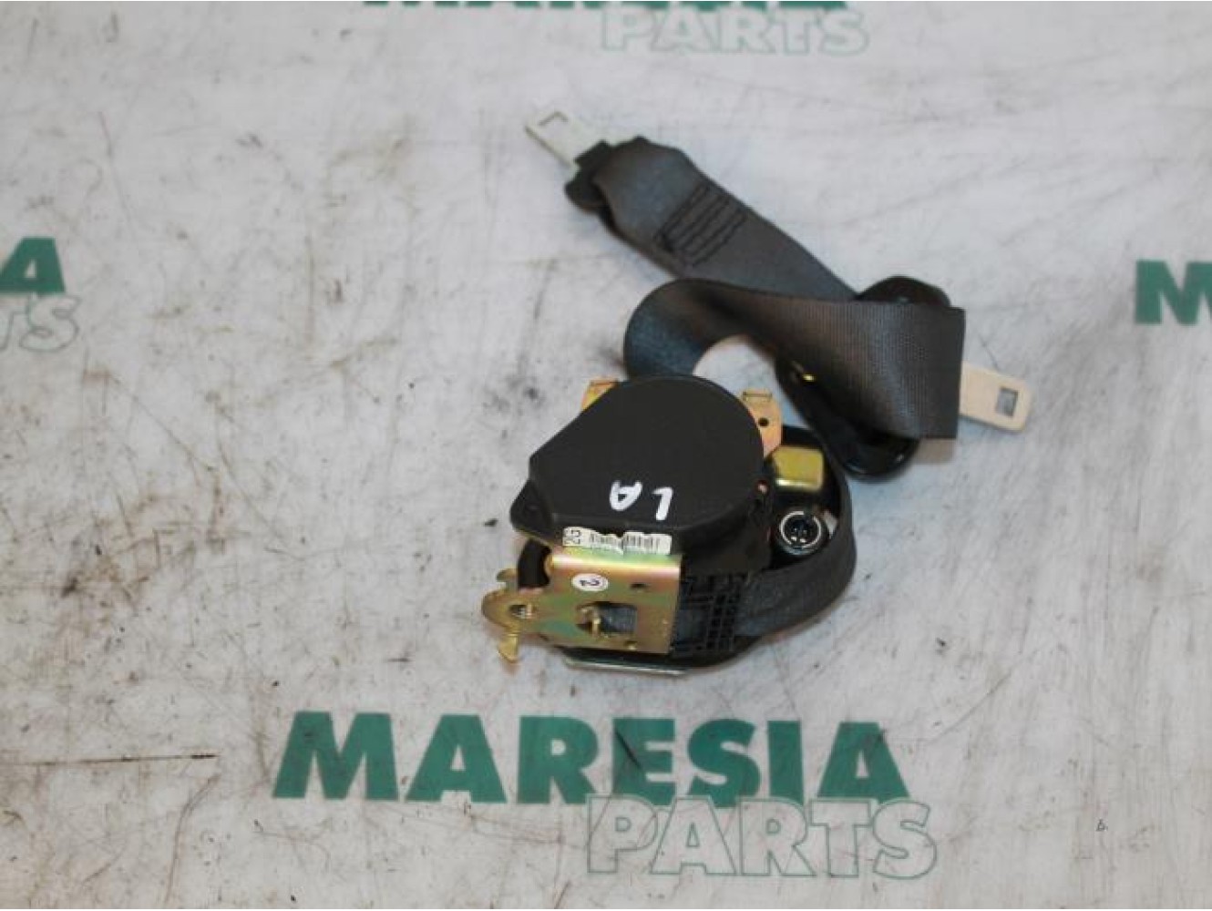 Renault - Megane Scenic - Sicherheitsgurt links hinten