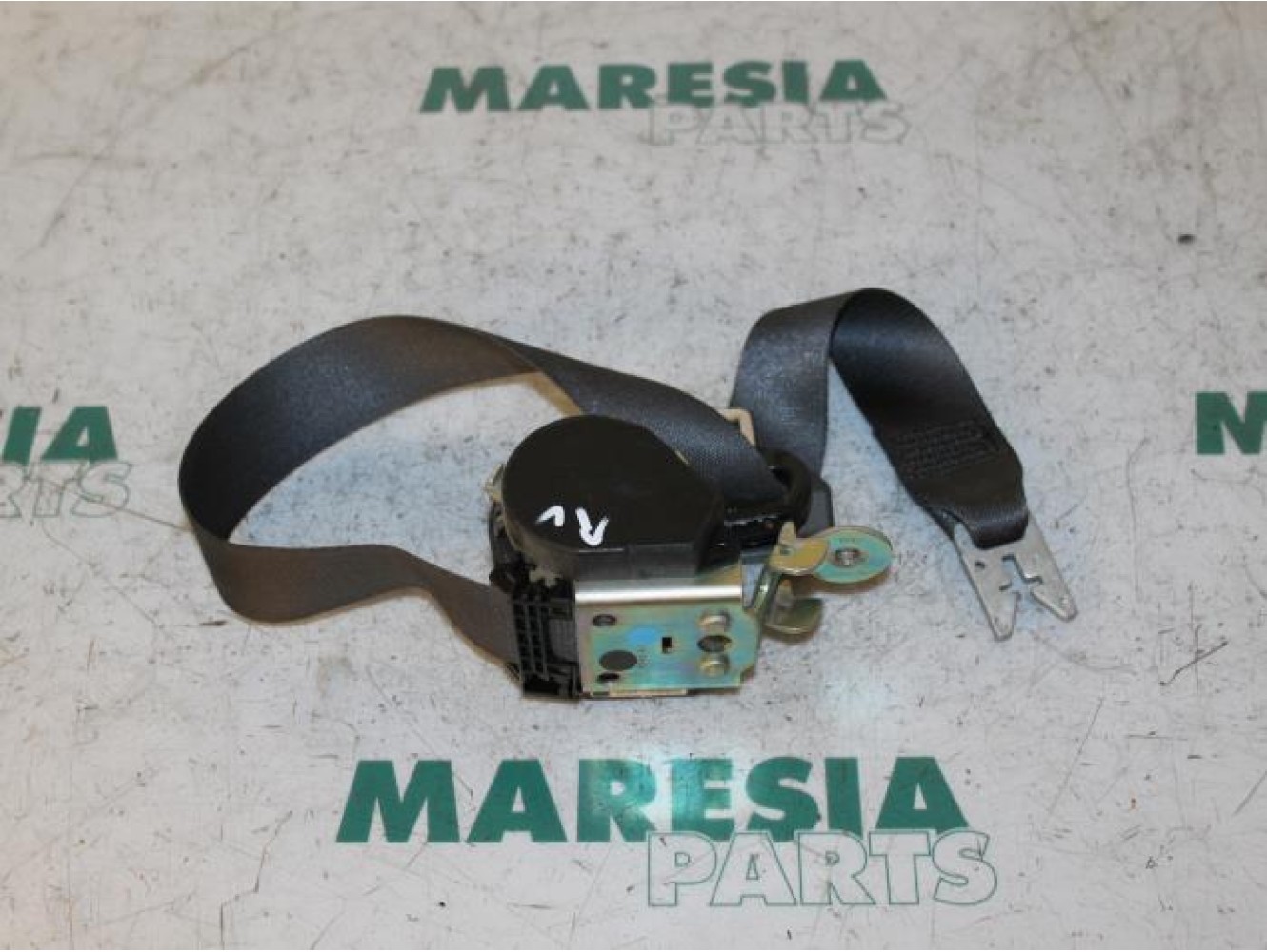 Renault - Megane Scenic - Front seatbelt, right