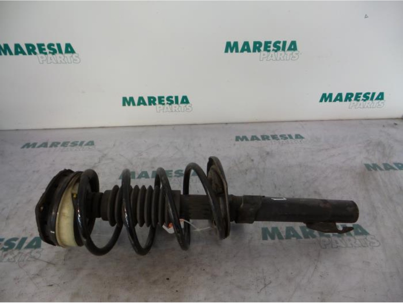 Renault - Megane Scenic - Front shock absorber rod, left