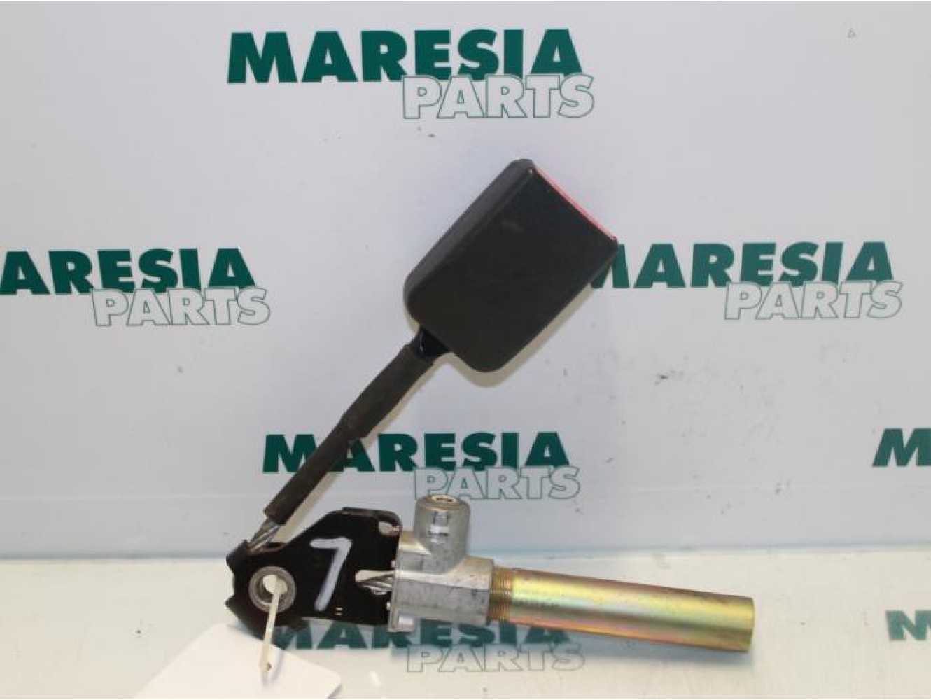 Renault - Megane Scenic - Gordelspanner links