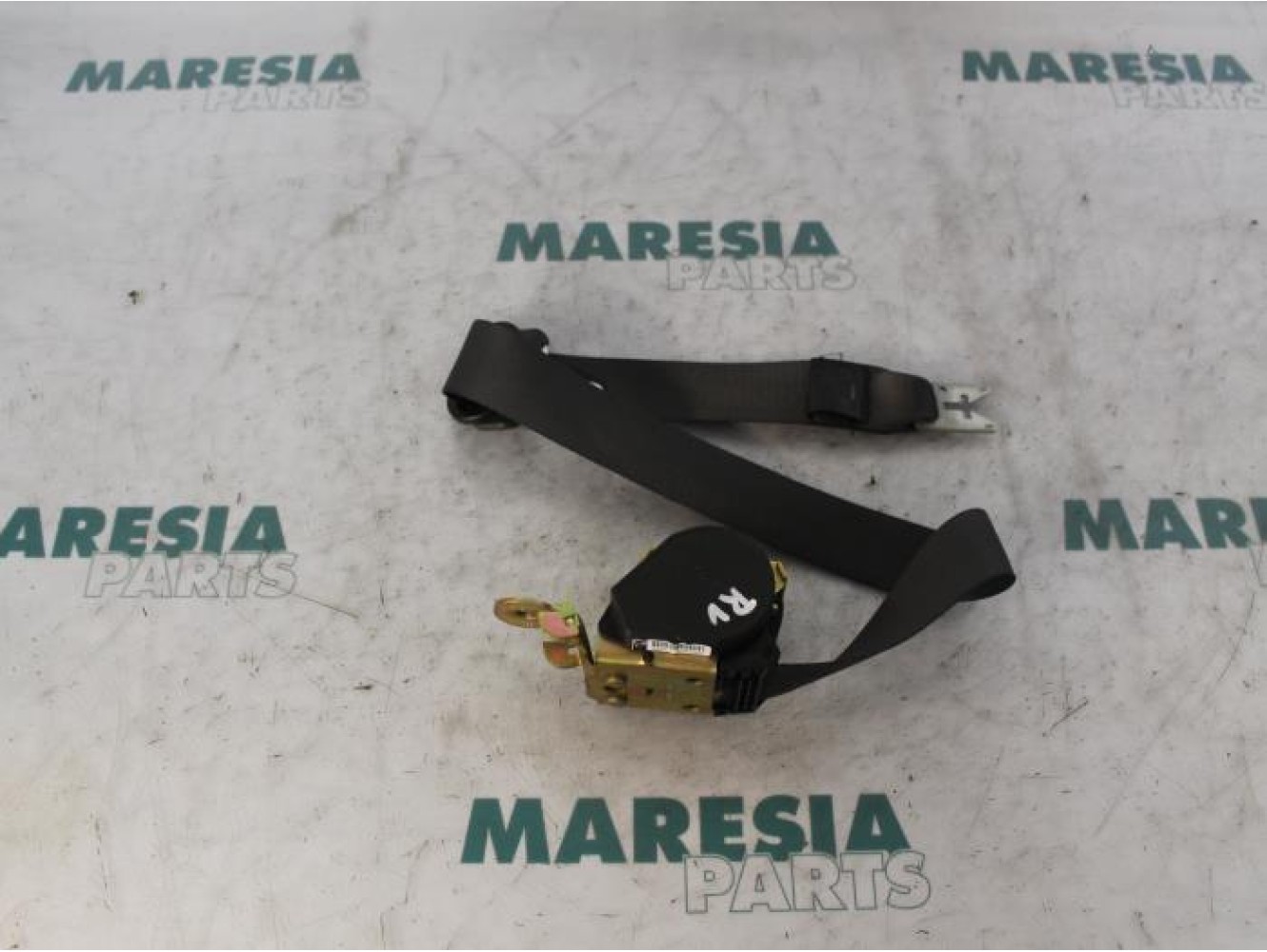 Renault - Megane Scenic - Front seatbelt, right