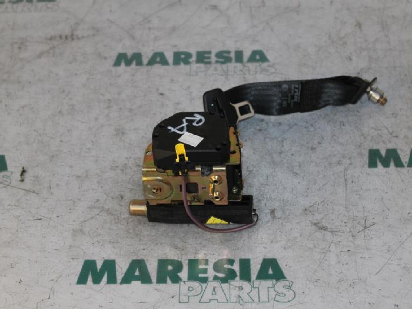 Lancia - Thesis - Ceinture de sécurité arrière droite
