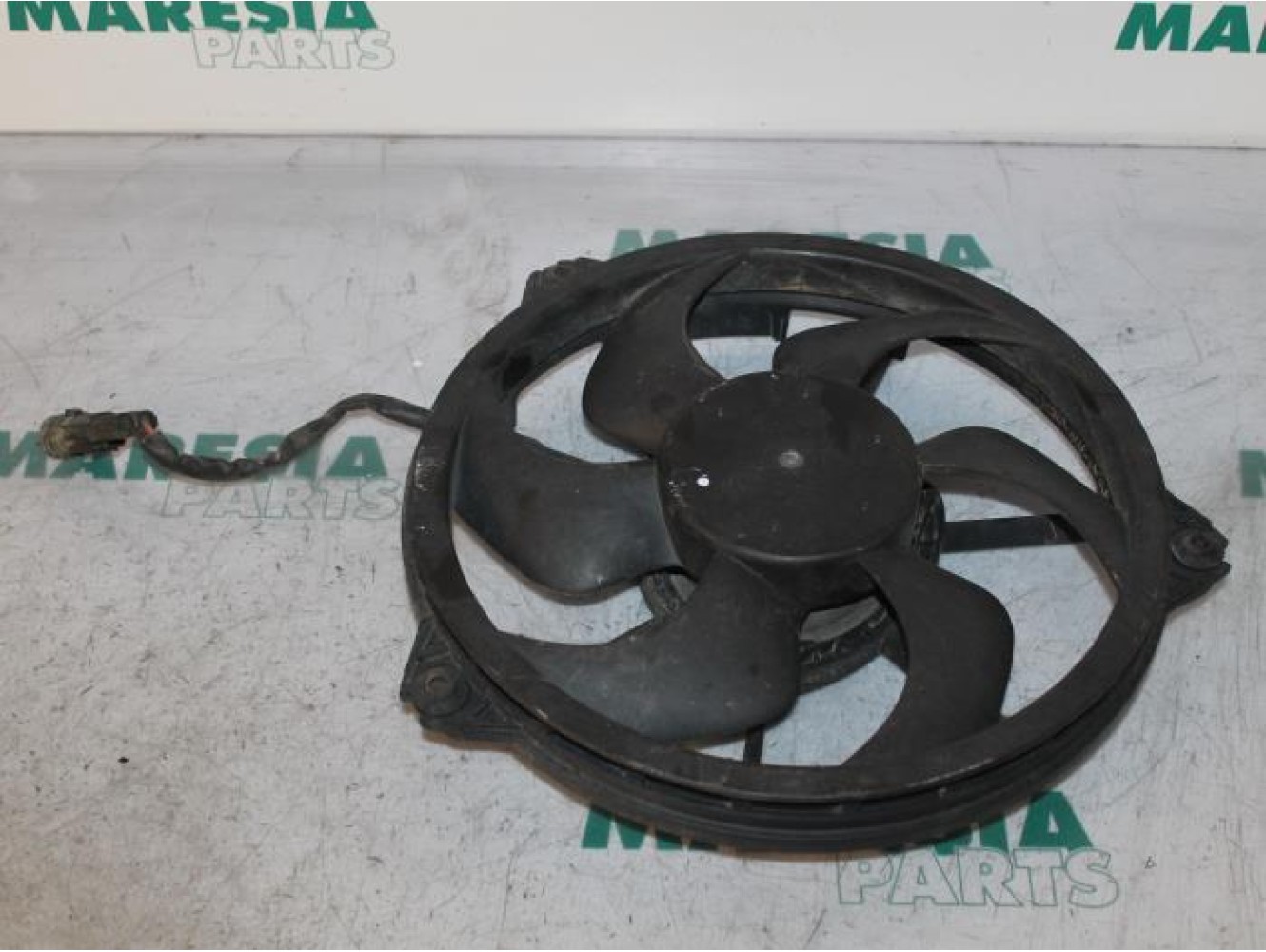 Fiat - Scudo - Fan motor