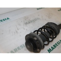 Peugeot - 206 - Front shock absorber rod, right