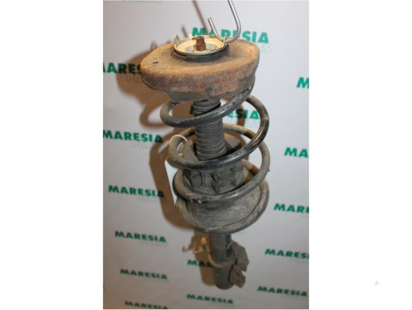Renault - Megane Scenic - Front shock absorber rod, left