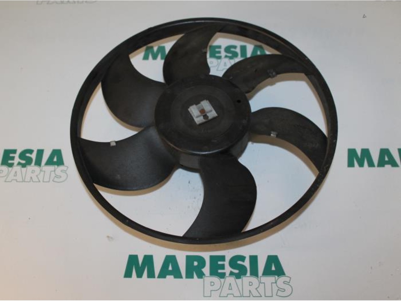 Renault - Megane Scenic - Kühlgebläse Motor