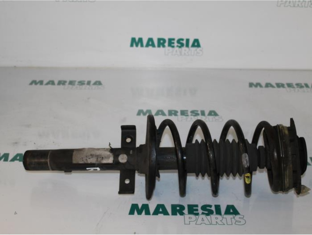 Renault - Megane Scenic - Front shock absorber rod, right