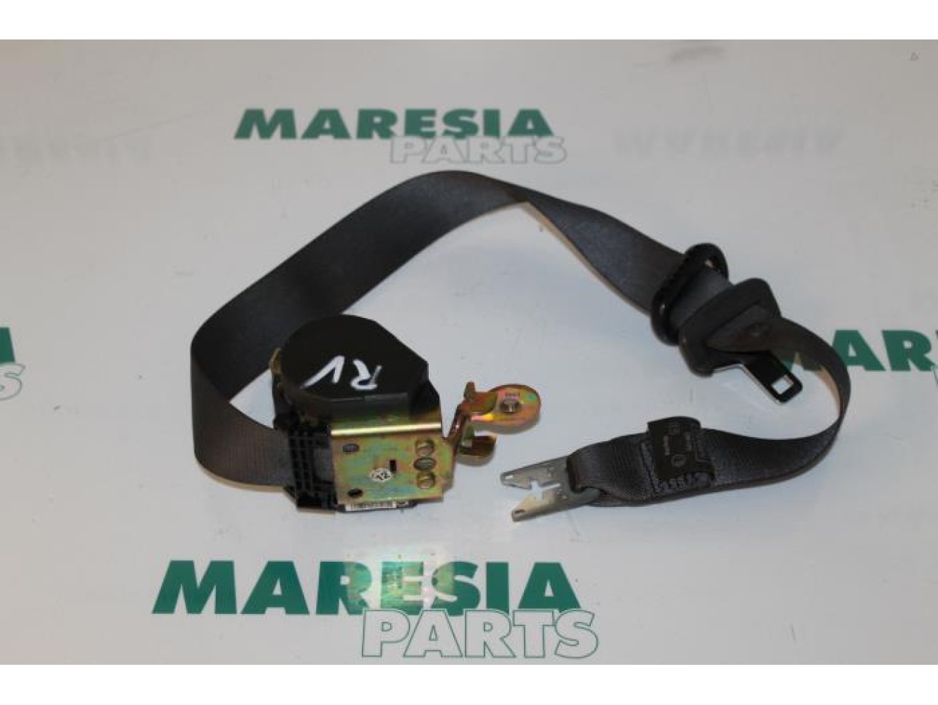 Renault - Megane Scenic - Front seatbelt, right