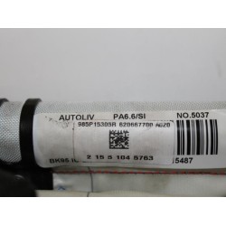 Renault - Megane - Airbag hemel links