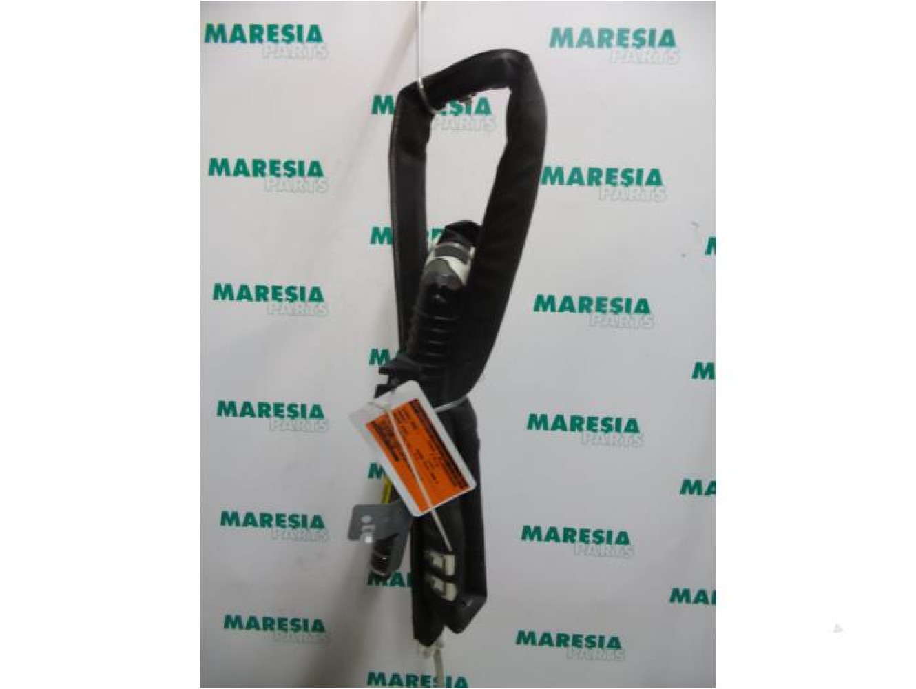 Renault - Megane Scenic - Airbag hemel links