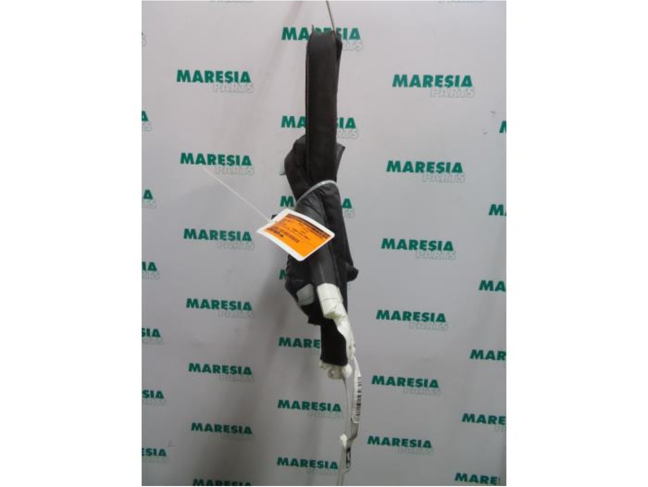 Renault - Megane Scenic - Airbag Himmel rechts