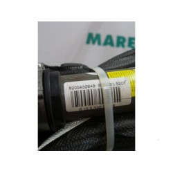 Renault - Megane Scenic - Airbag Himmel rechts