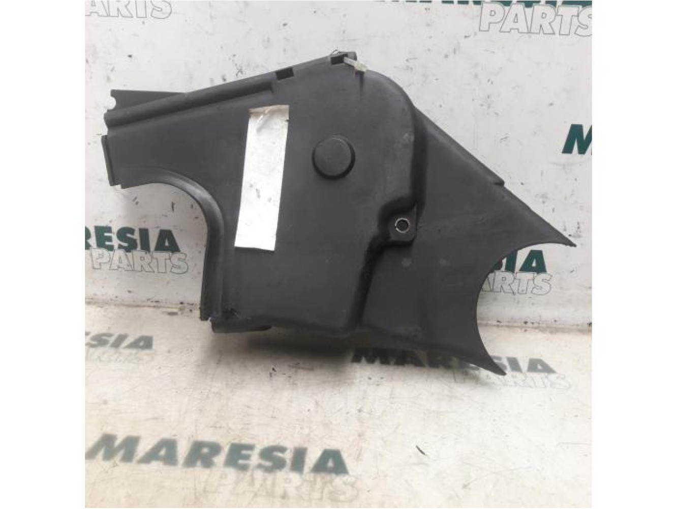 Fiat - Punto - Timing cover