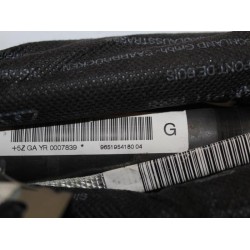 Peugeot - 407 - Airbag Himmel links